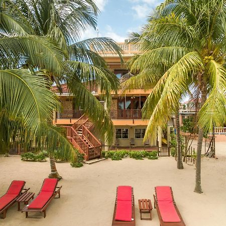 Hotel Buttonwood Belize Hopkins Zewnętrze zdjęcie
